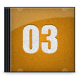 Icon 12